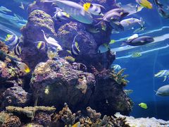 -成都浩海立方海洋公园