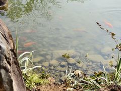 -水底山庄园温泉