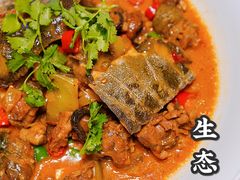 -鸽子侯·家宴·平价海鲜(市图书馆店)