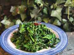 山茅野菜-兰缘美食城(金实店)