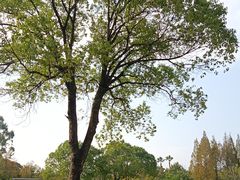-河泥荡文化公园