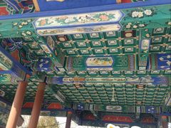 -莲花池公园