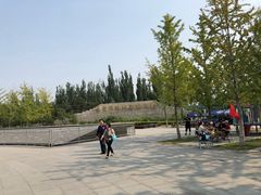 -永定河休闲森林公园