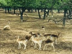 -西安秦岭野生动物园