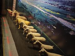 -汉景帝阳陵博物院