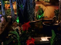 -泉城欧乐堡戏水湾艺术养生温泉