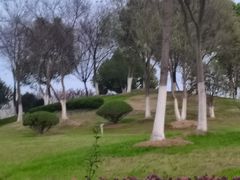 -滨湖塘西河公园