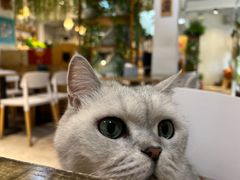 -小时光咖啡馆(北锣鼓巷店)
