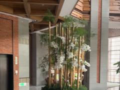 -浅深Cheersum(曹杨店)