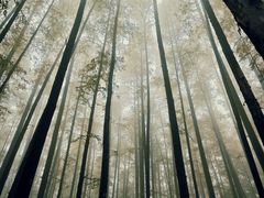 -山王坪喀斯特国家生态公园