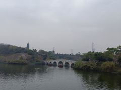 -重庆园博园