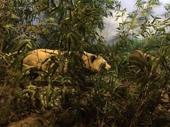 -陕西自然博物馆