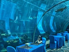 -海棠湾洲际-涛·海底餐厅·美人鱼·自助餐·海底隧道