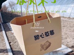 -甜心庄园·甜心草莓采摘园(西青中北店)