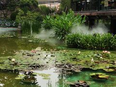 -静安公园(静安寺街道)