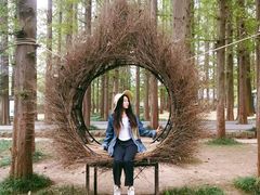 -日照灯塔风景区