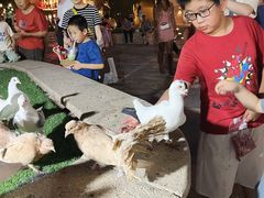 -蓝色港湾停车场