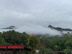 -清水湖度假村(罗浮山美食地标店)