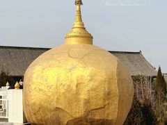 -洛阳白马寺