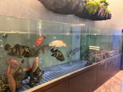 -外滩·云南人家(昆明旗舰店)