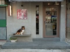 -Again Coffee Roaster(香蜜湖店)