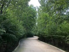 -塘沽森林公园