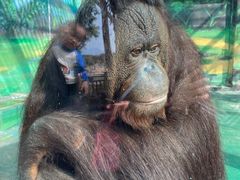 -泉州海丝野生动物世界