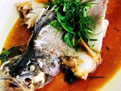清蒸西江鲈鱼-八仔大富楼·河鲜(西江店)