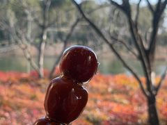 -养云安缦吧THE BAR