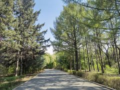 -长春市南湖公园