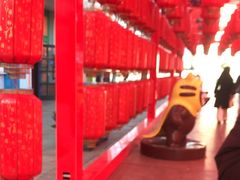 -青岛方特梦幻王国