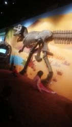 -北京科学中心儿童乐园