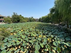 -莲池书院博物馆