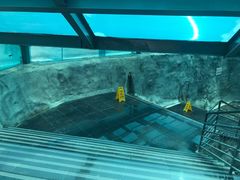-重庆海昌加勒比海水世界