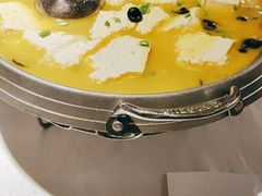 -雲蜀龙阁·金牌水煮鱼(方庄店)