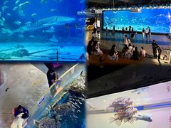 -烟台海昌鲸鲨海洋公园