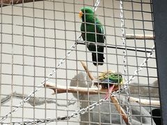 -石家庄市动物园