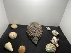 -洛阳龙门海洋馆