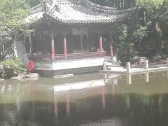 -嘉定紫藤园