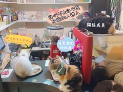 -猫色咖啡·猫咖