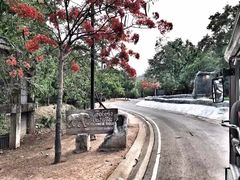 -清迈夜间动物园