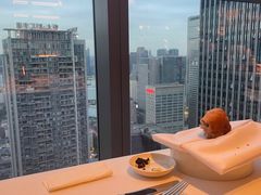 -云厨·高空西餐厅(成都瑯珀·凯悦臻选酒店)