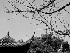 -钱王祠