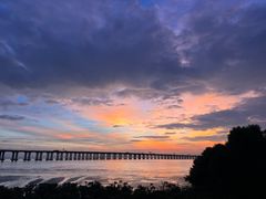 -宝安西湾红树林湿地公园