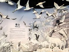 -中国湿地博物馆