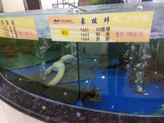 -老周记海鲜餐饮服务有限公司(旗舰店)