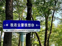 -沂蒙山旅游区云蒙景区(蒙山国家森林公园)