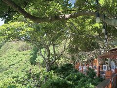 -美人鱼悬崖海景餐厅(鹿嘴山庄店)