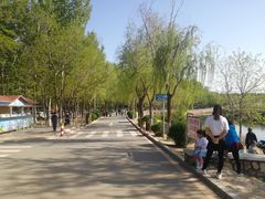 -丁香湖公园
