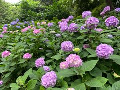 -常州古运河南大街文化旅游区-人民公园